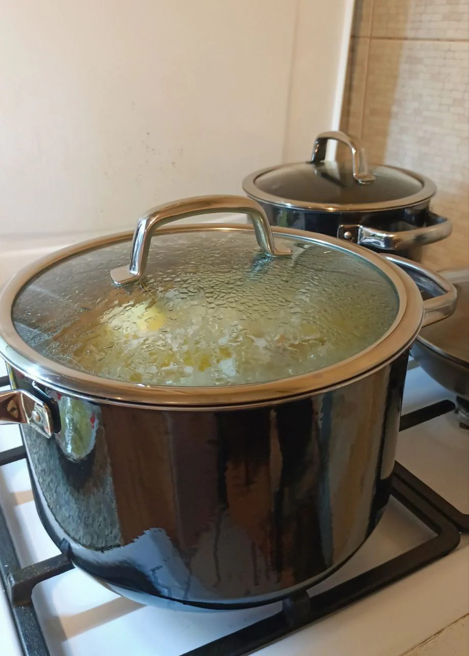 Лариса Ріженчук