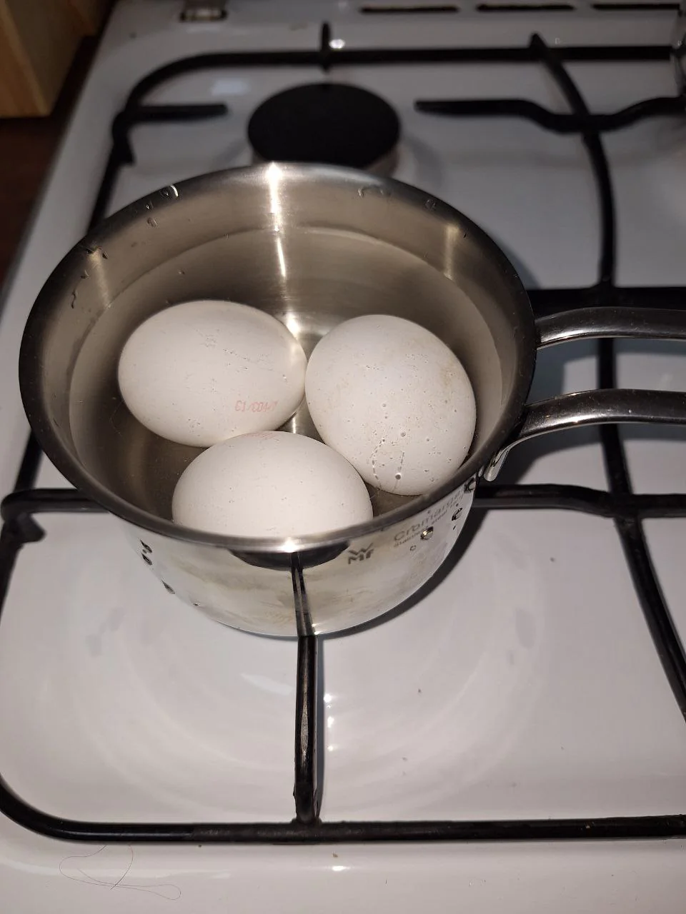 Юлія Кушнір