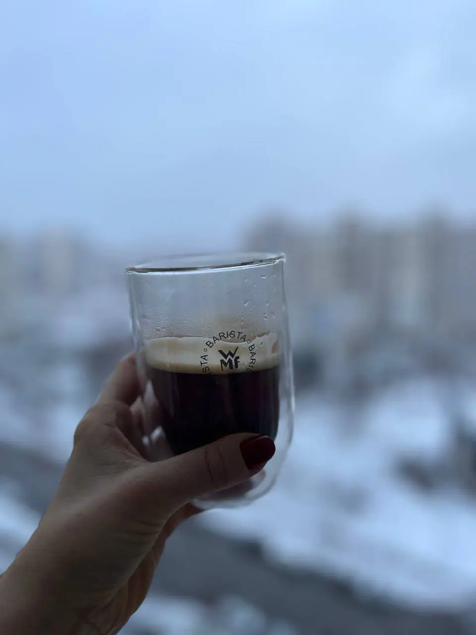 Анна Чупа
