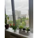 Дарина Рилик Дарина Рилик